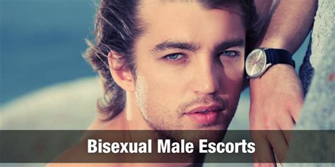 scort gay|Gay Male Escorts 